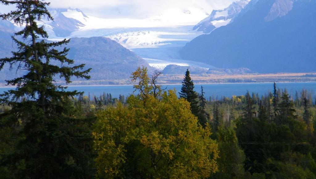 Crane'S Rest B&B Fritz Creek Экстерьер фото